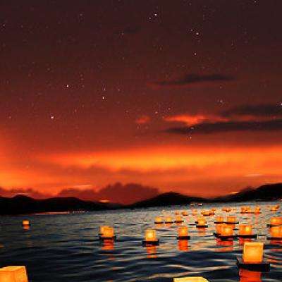 乐鱼平台app下载官网